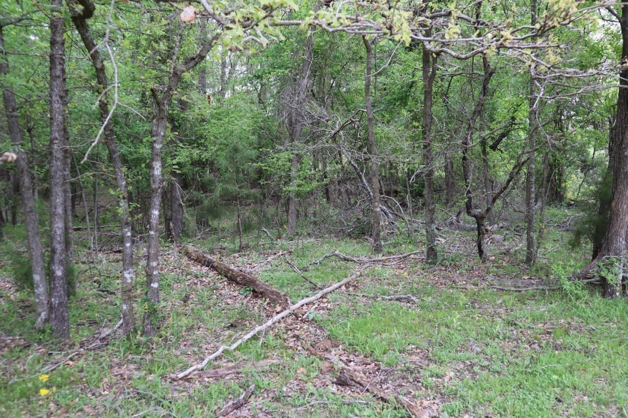 29.31 acres in Rains County - photo 10