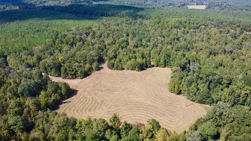 33.19 acres in Cass County featured view