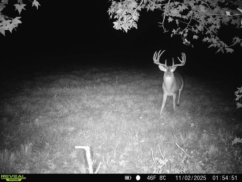 33.19 acres in Cass County