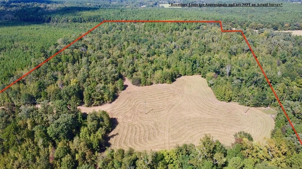 33.19 acres in Cass County gallery image 2