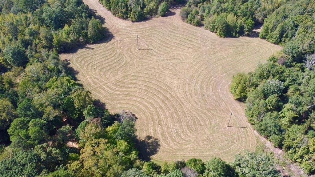 33.19 acres in Cass County gallery image 3