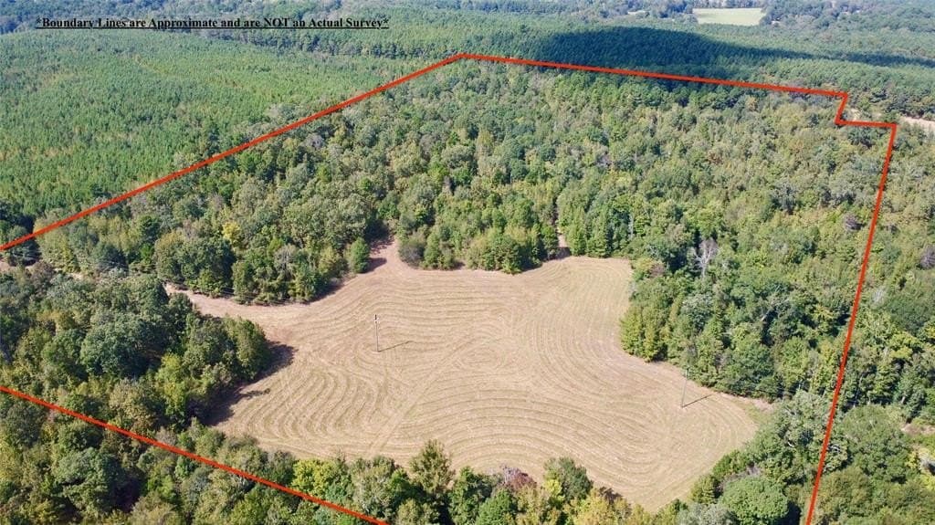 33.19 acres in Cass County gallery image 4