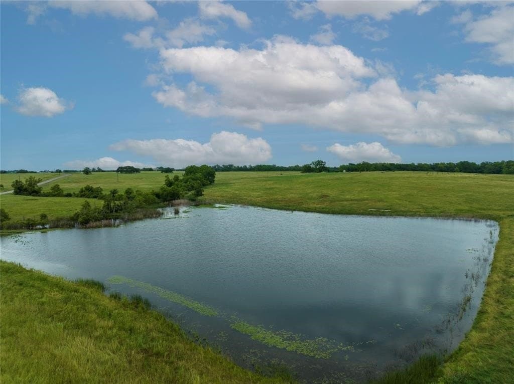 46.38 acres in Austin County featured view