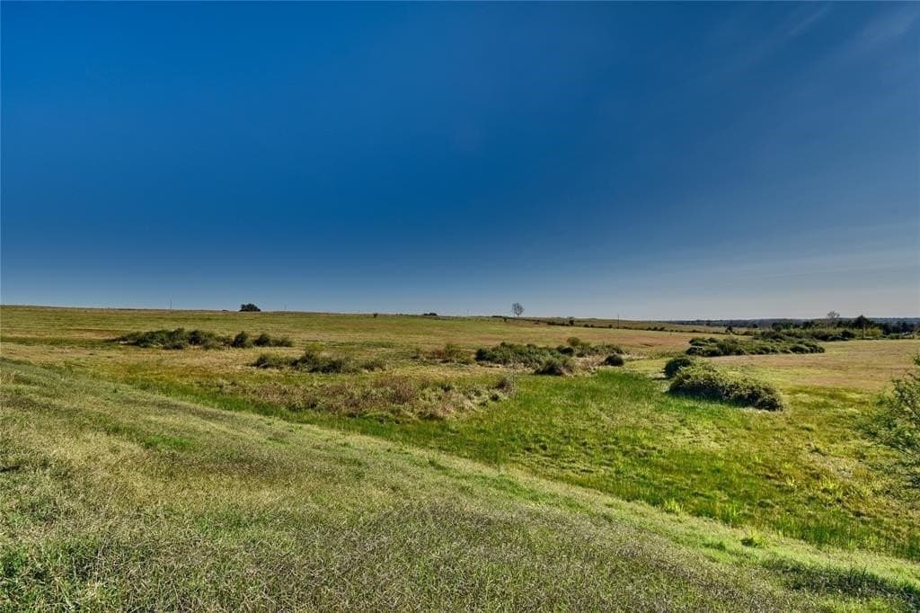 46.38 acres in Austin County gallery image 2