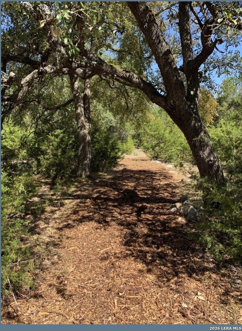 0.51 acres in Comal County - photo 6