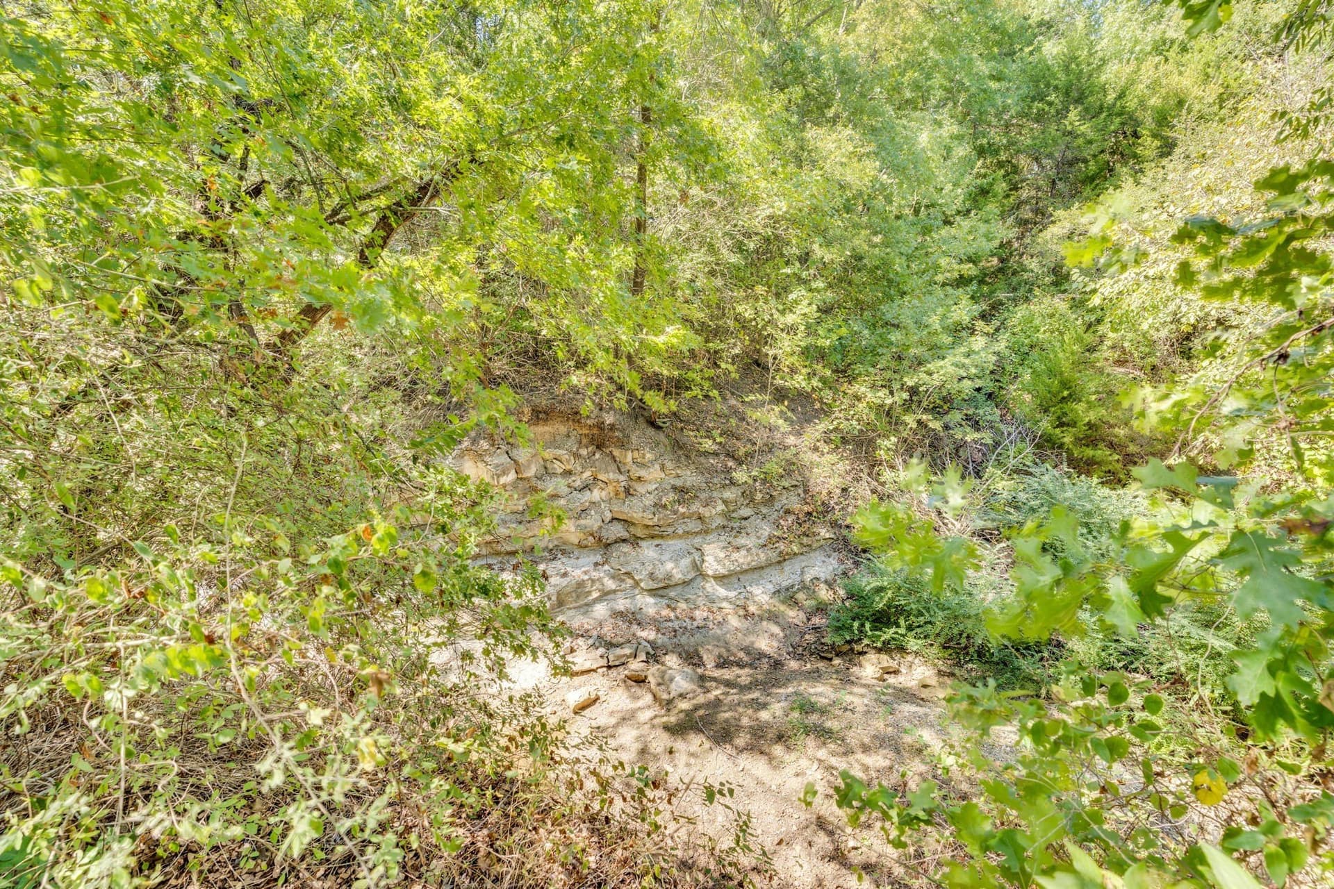 2 acres in Ellis County - photo 7