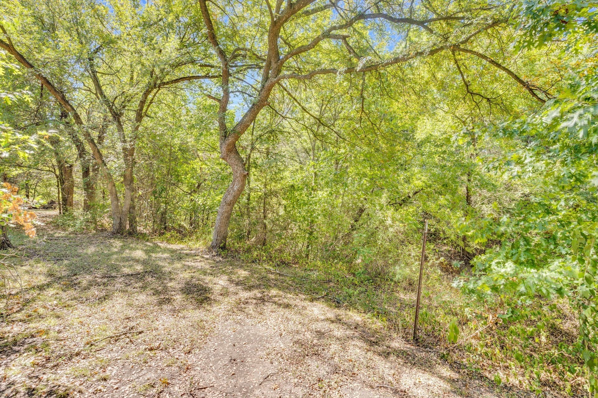 2 acres in Ellis County - photo 8