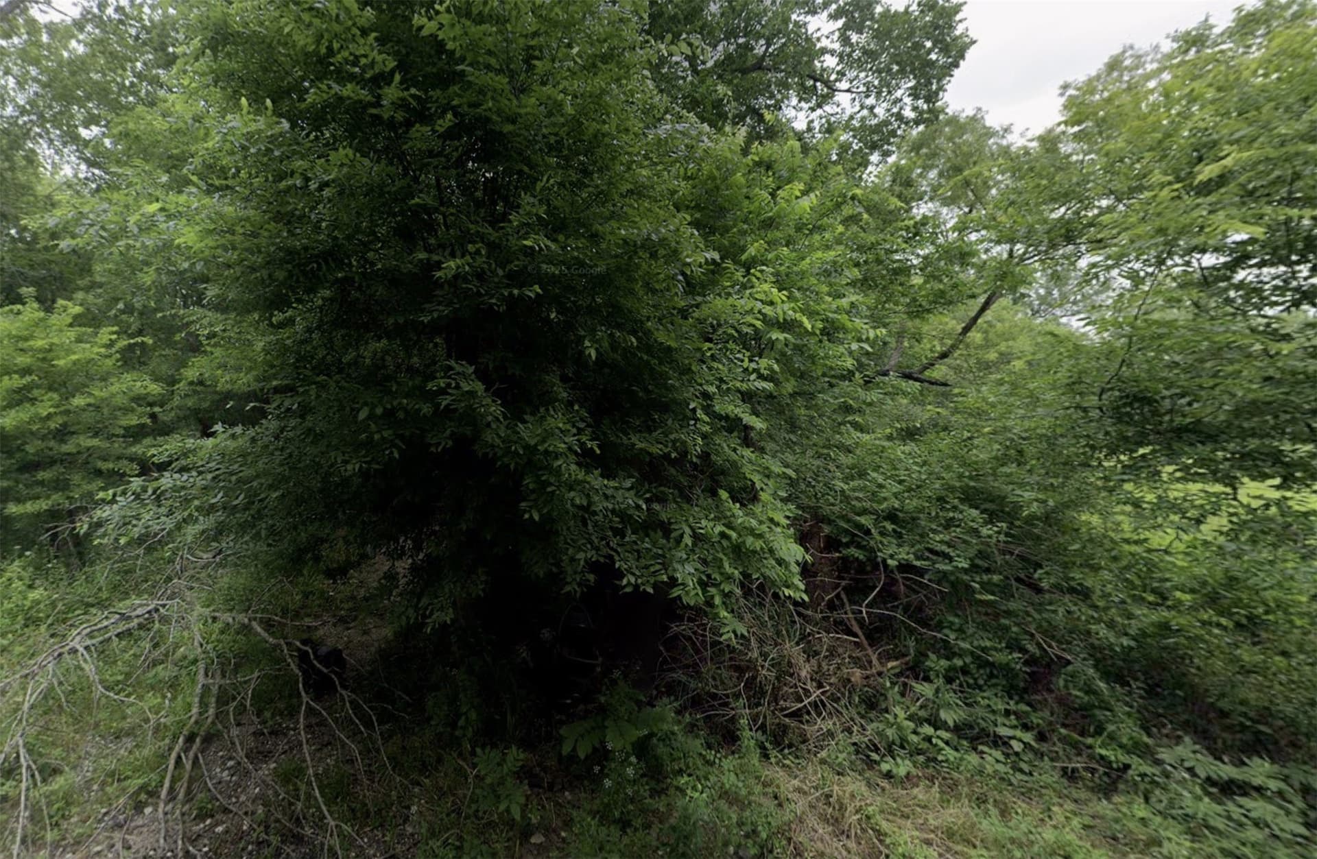 0.22 acres in Hunt County
