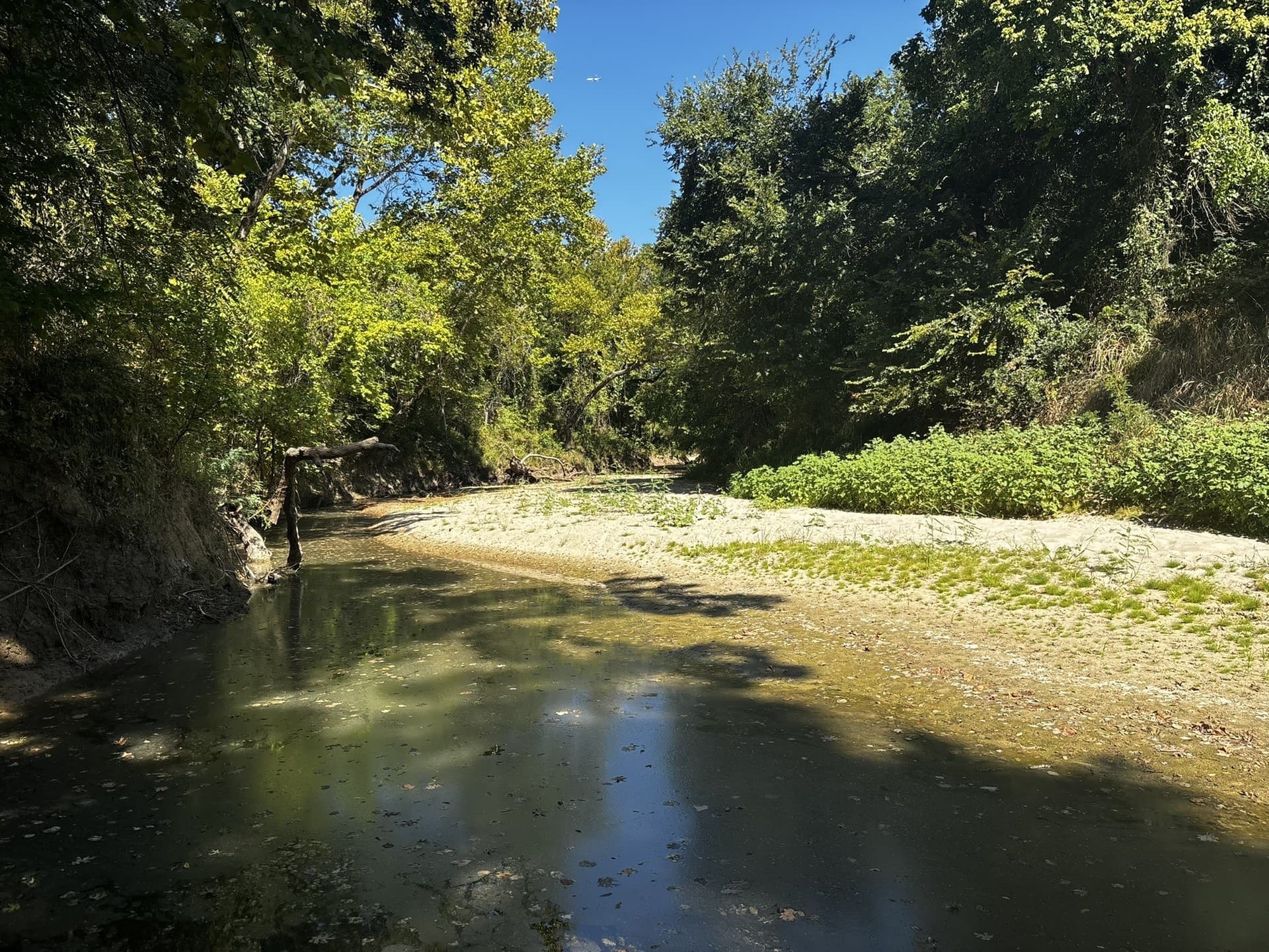 10 acres in Denton County - photo 33