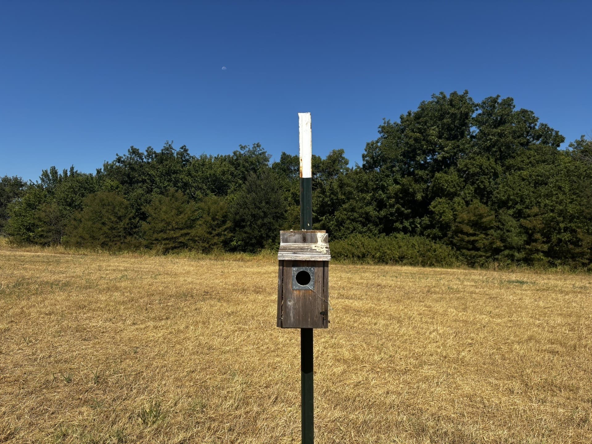 10 acres in Denton County - photo 5