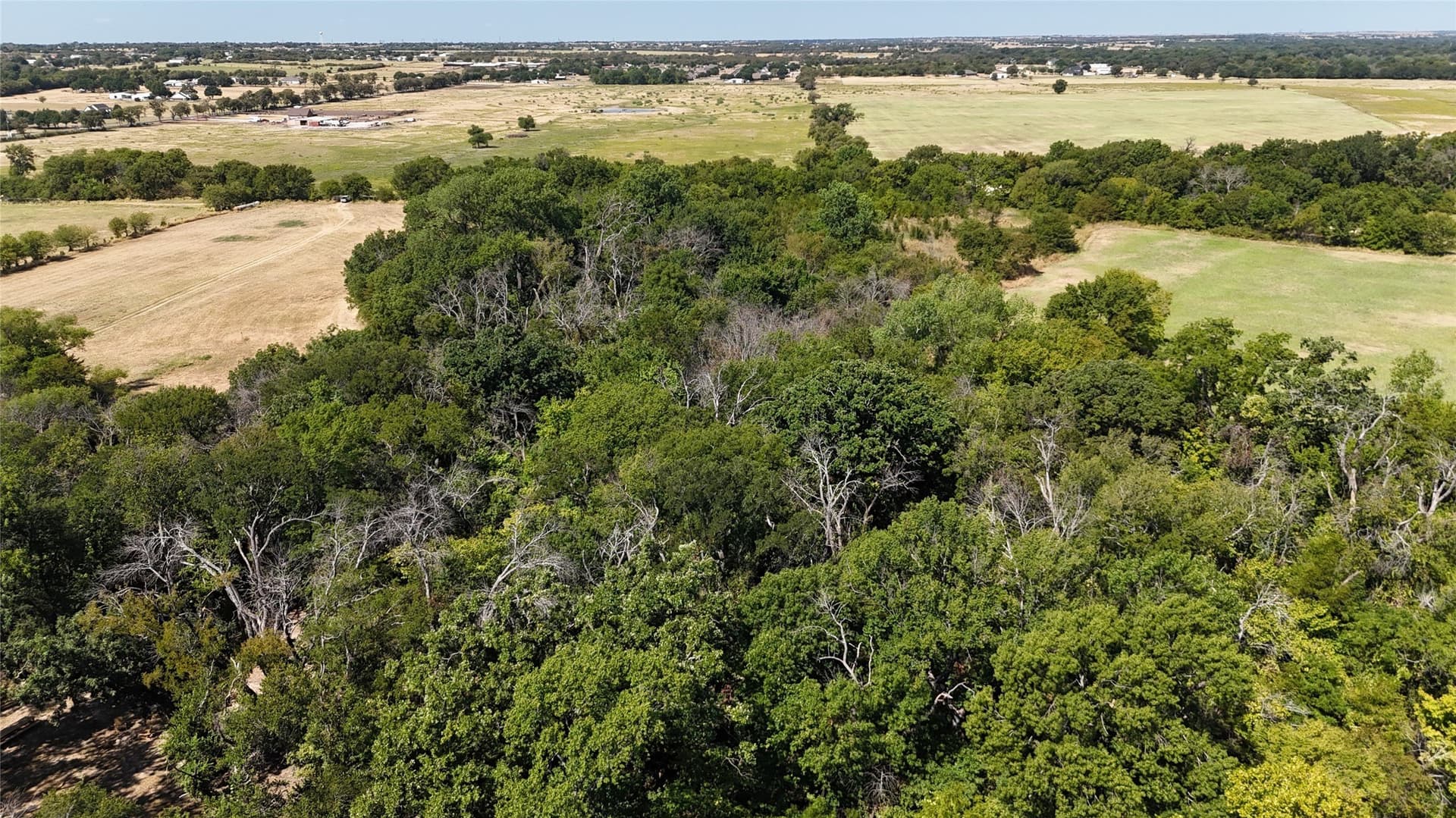 10 acres in Denton County - photo 12