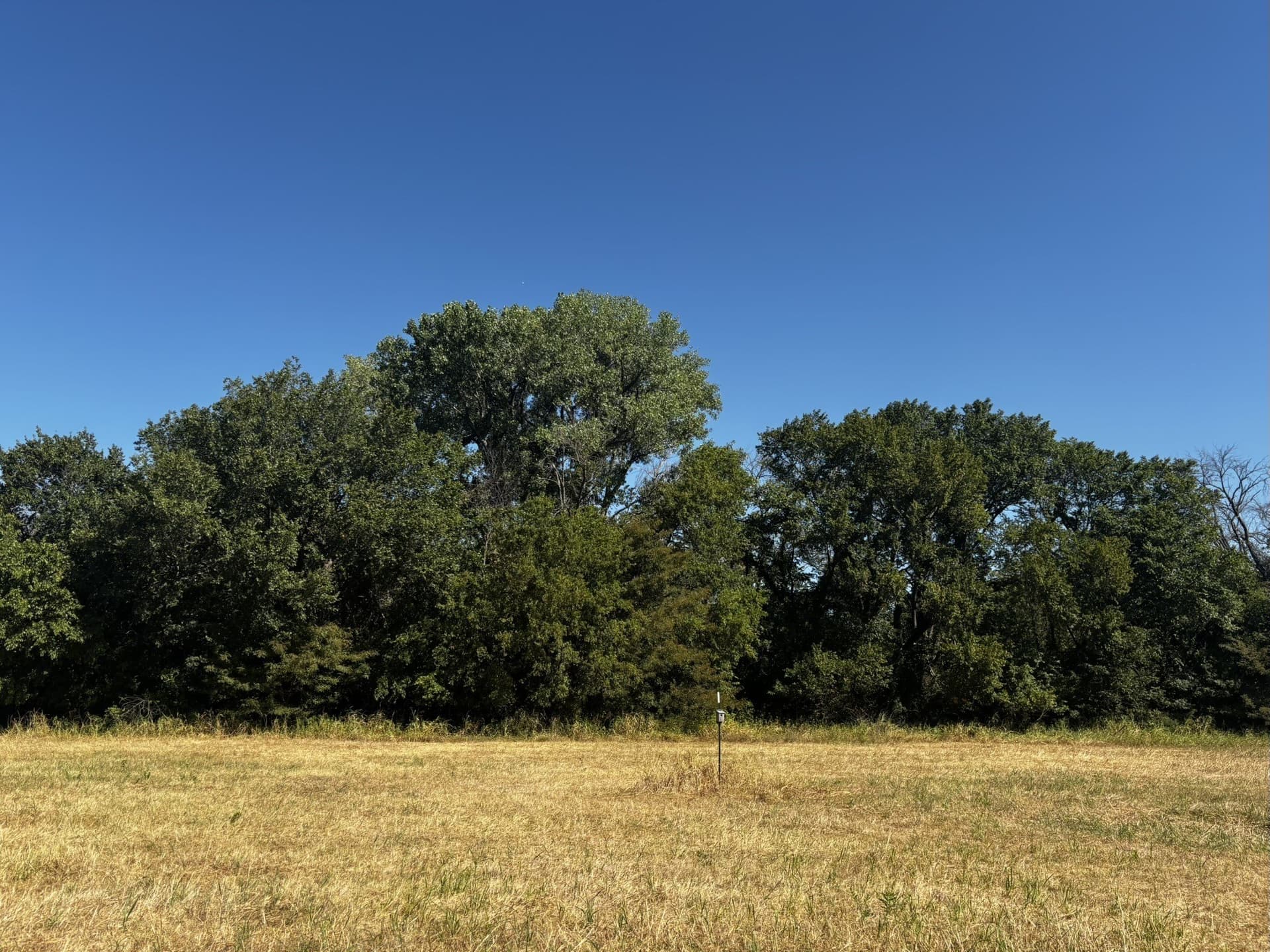 10 acres in Denton County - photo 26