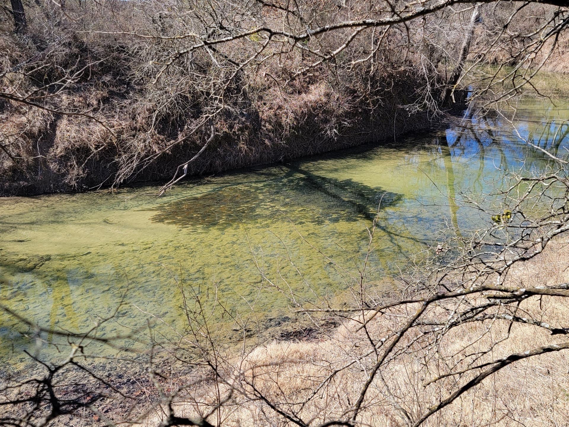 10 acres in Denton County - photo 9