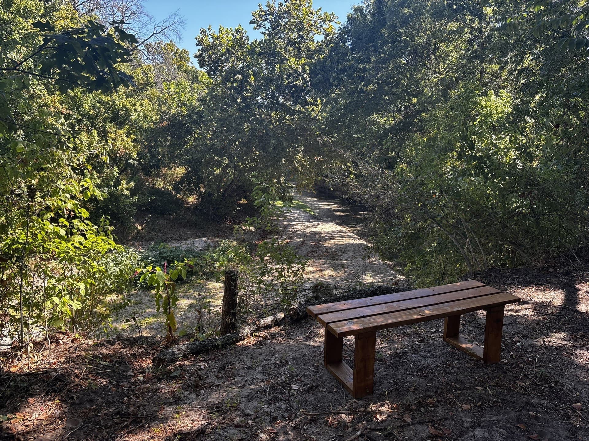 10 acres in Denton County - photo 21
