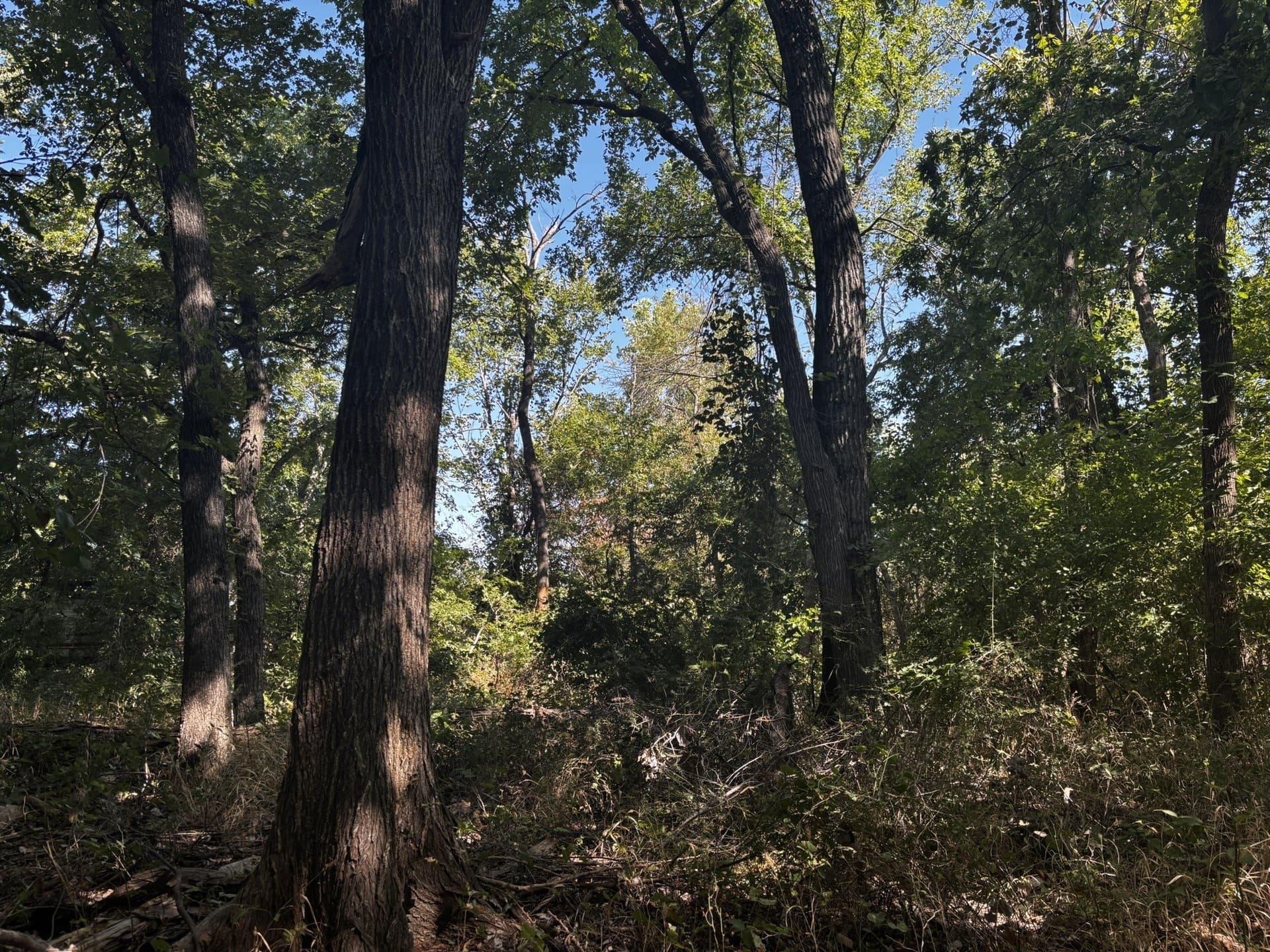10 acres in Denton County - photo 24