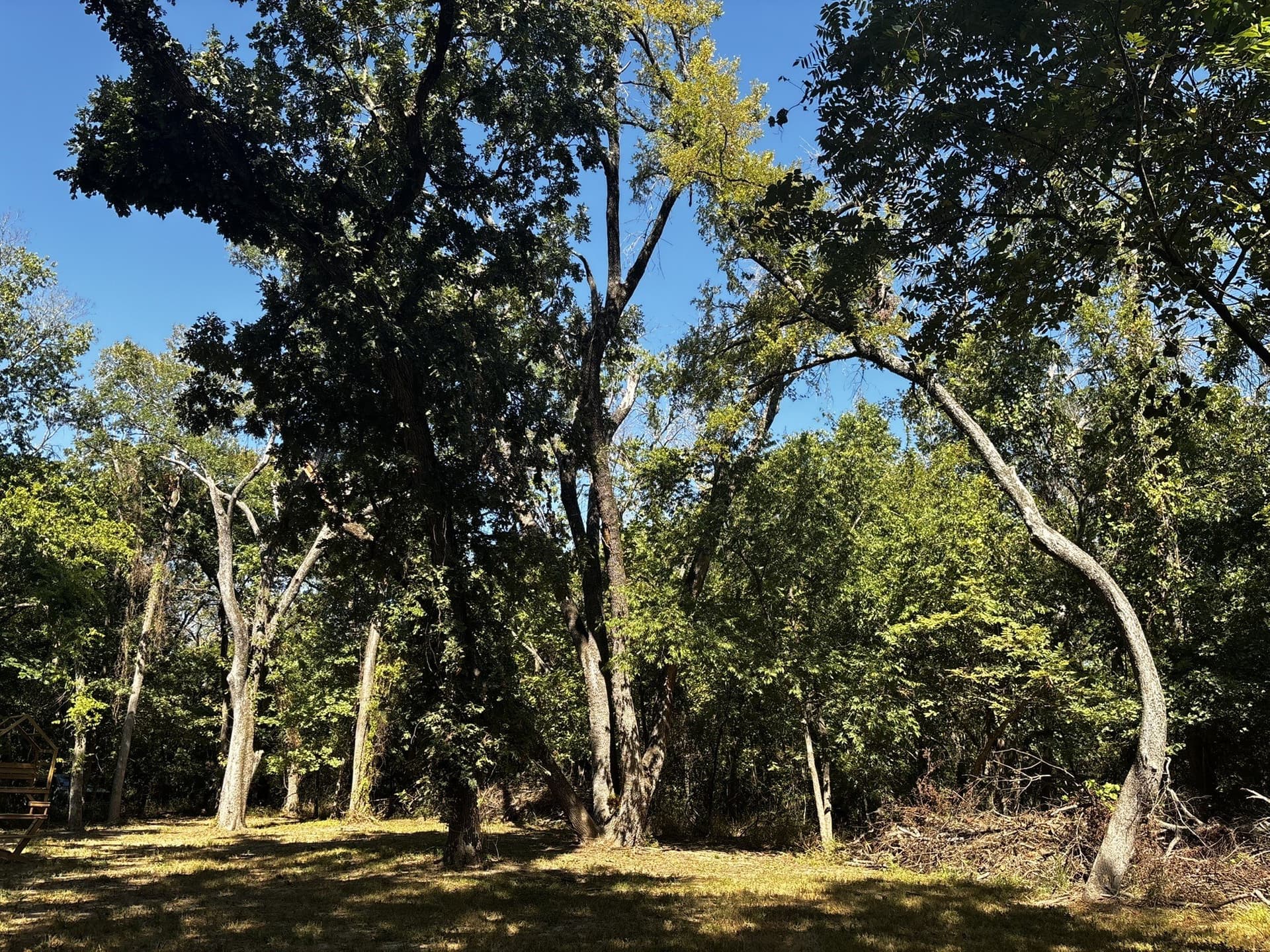 10 acres in Denton County - photo 14