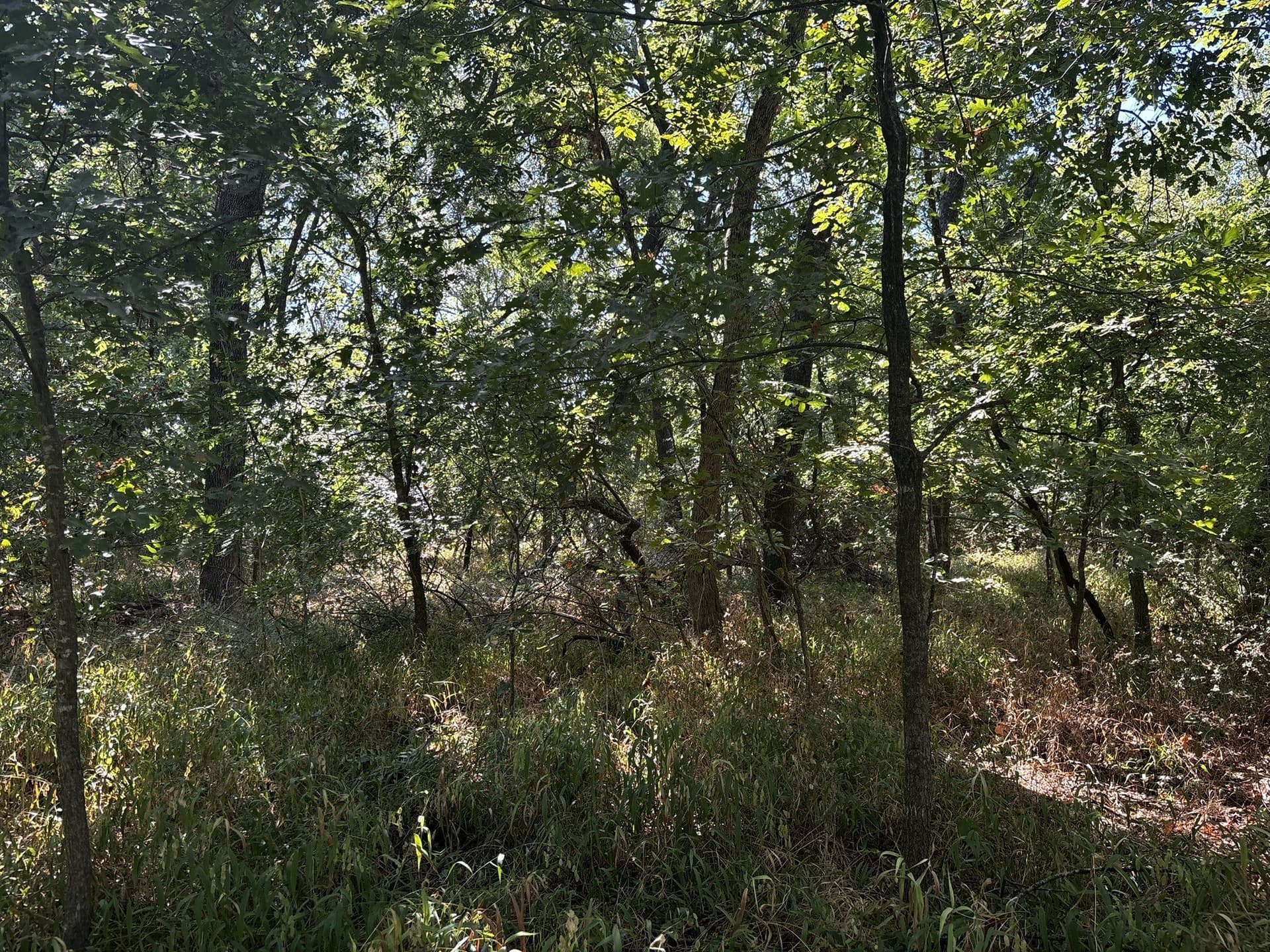 10 acres in Denton County - photo 34