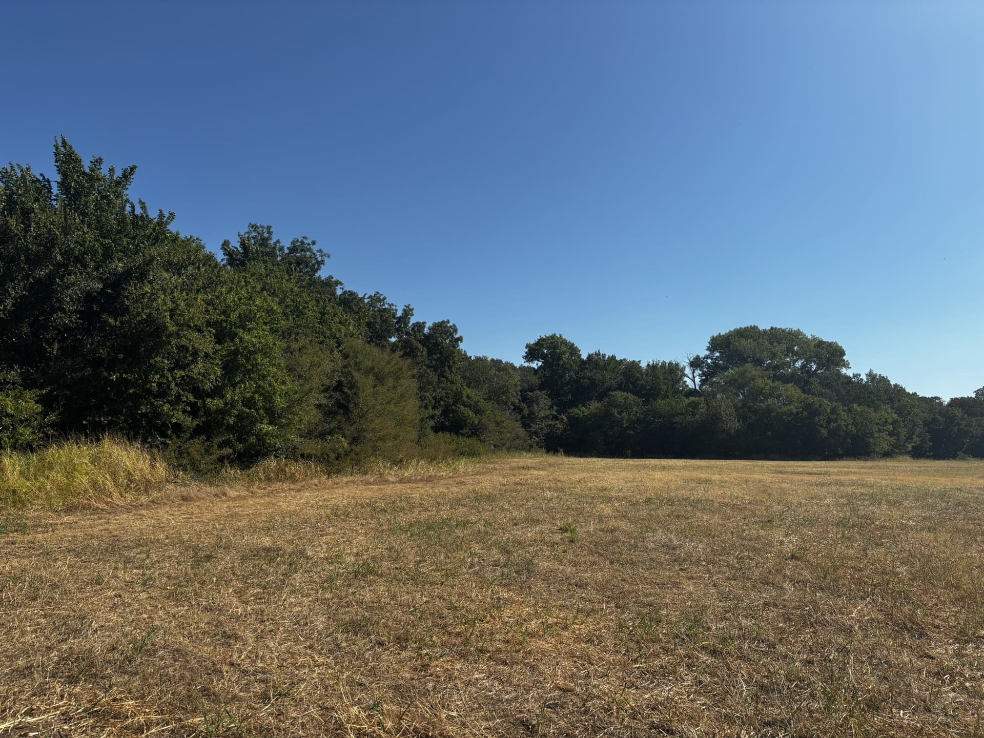 10 acres in Denton County - photo 23