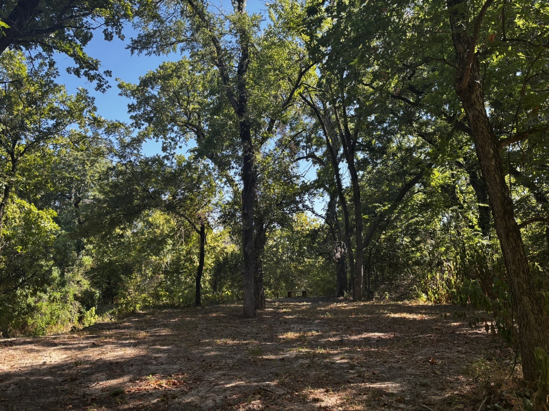 10 acres in Denton County - photo 29