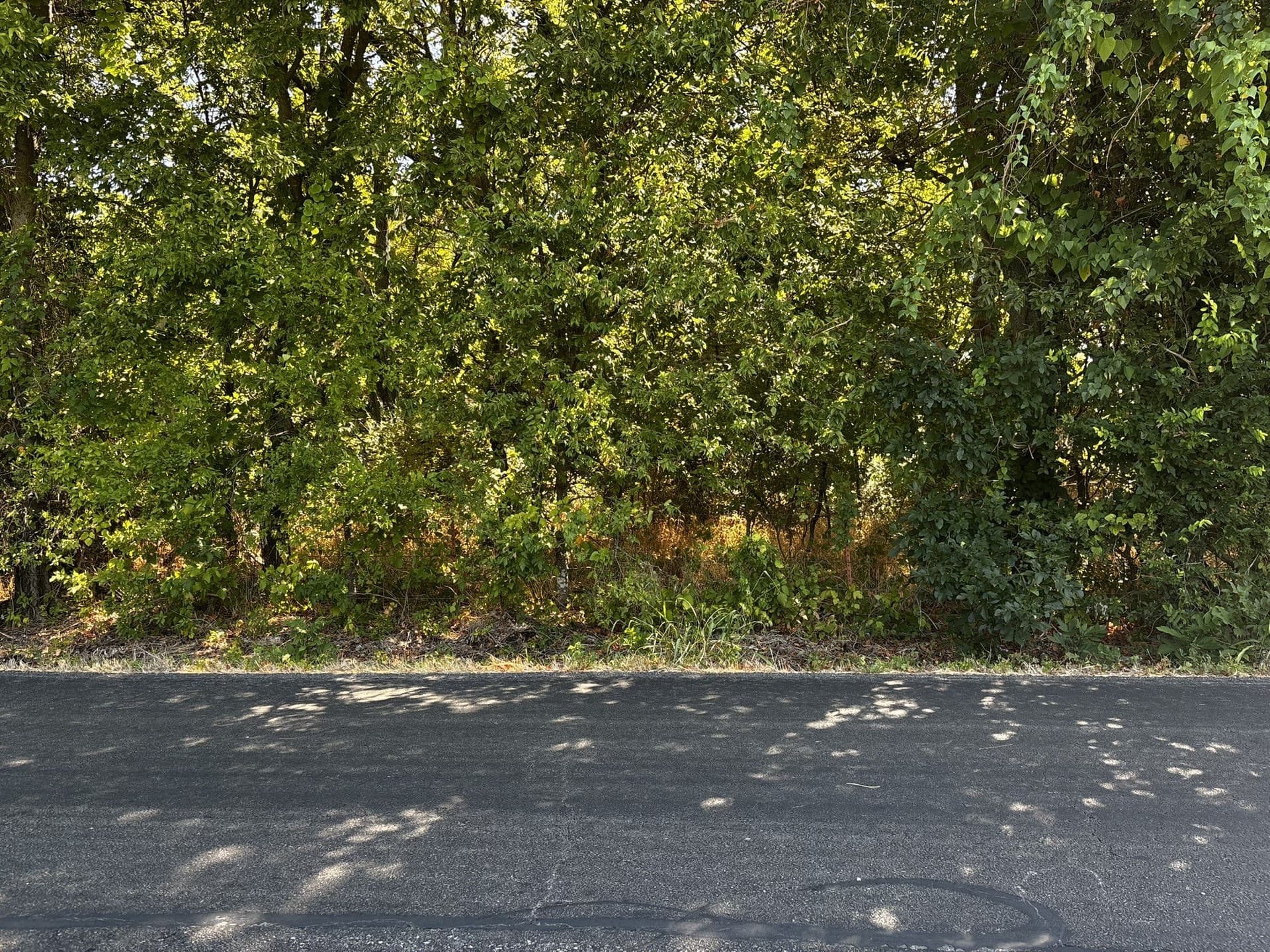 10 acres in Denton County - photo 36