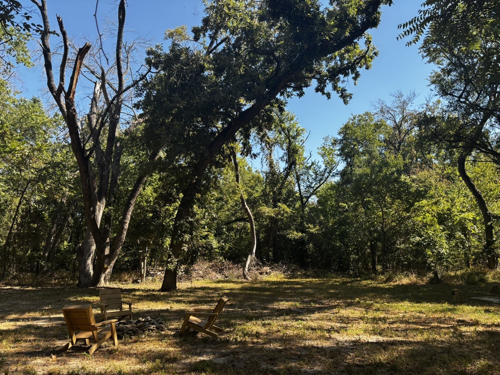 10 acres in Denton County - photo 27