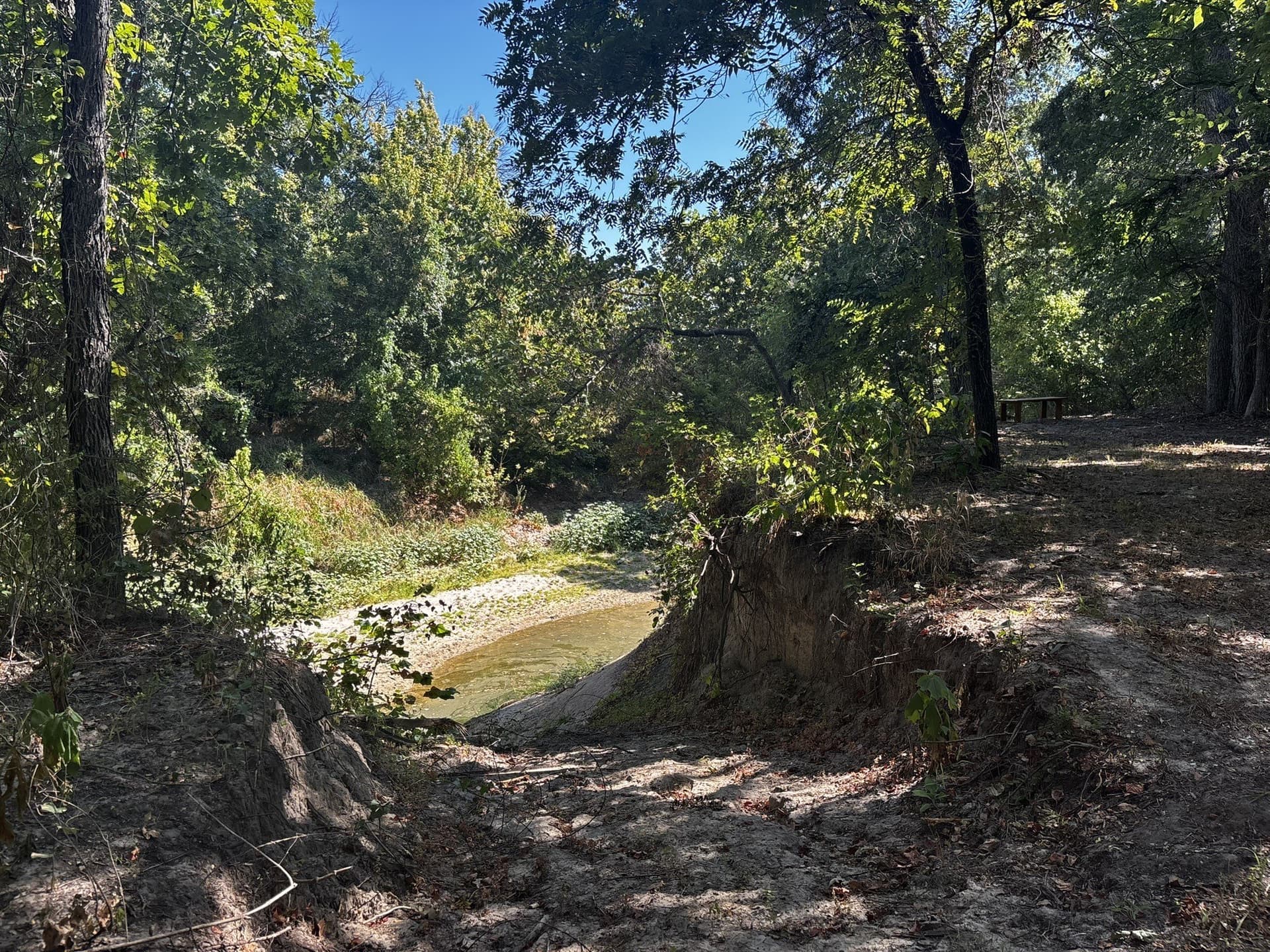 10 acres in Denton County - photo 31