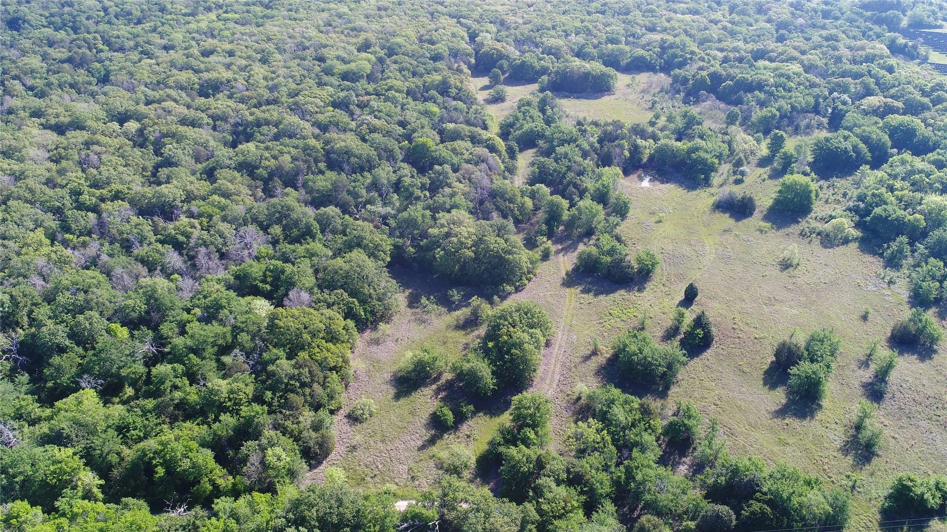 39.29 acres in Navarro County - photo 9