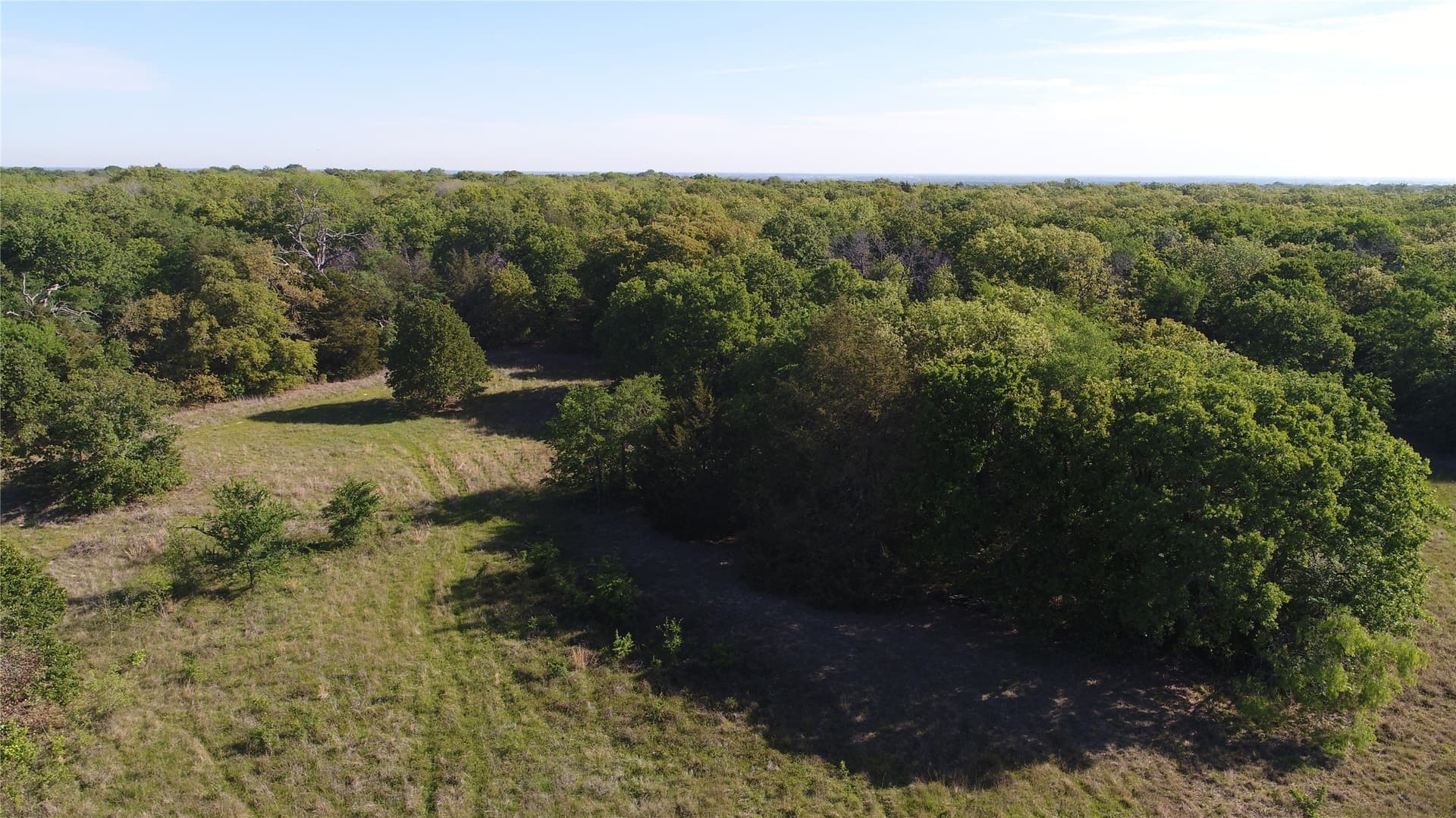 39.29 acres in Navarro County - photo 10