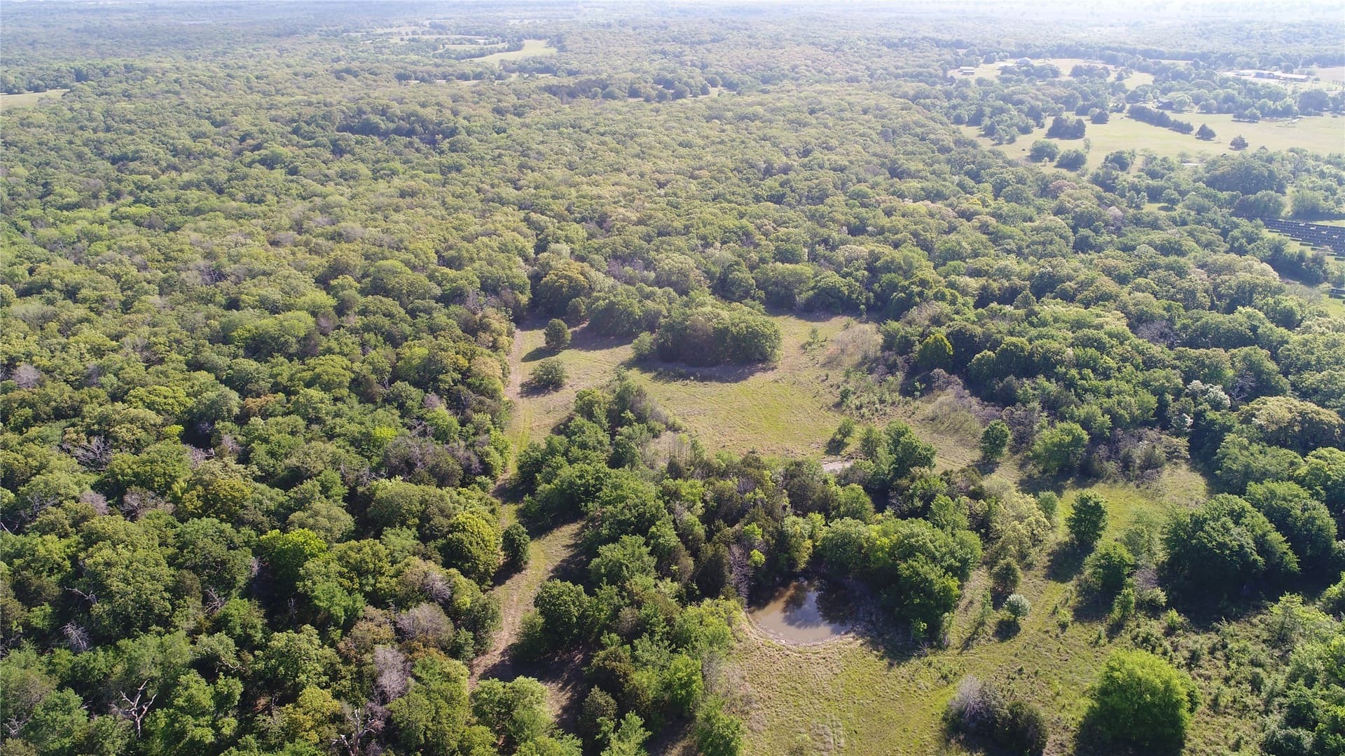 39.29 acres in Navarro County - photo 8