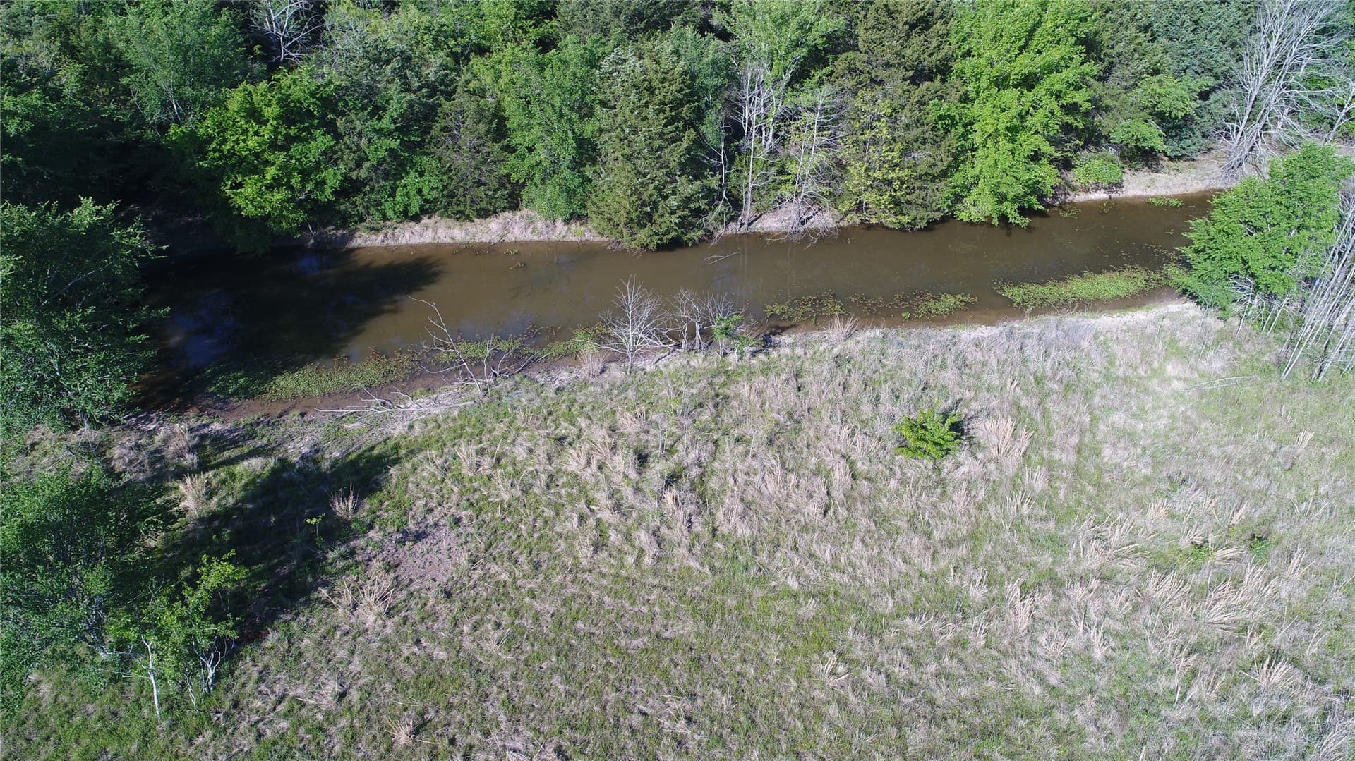 39.29 acres in Navarro County featured view