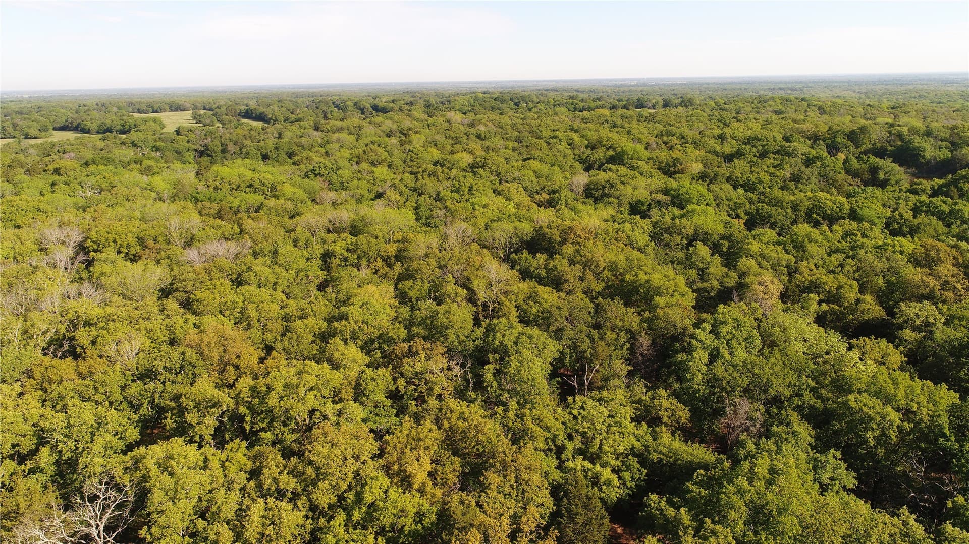39.29 acres in Navarro County - photo 11