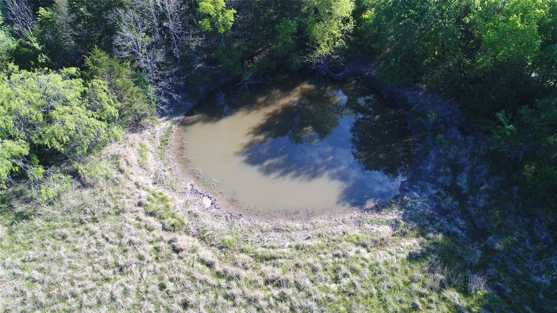 39.29 acres in Navarro County gallery image 4