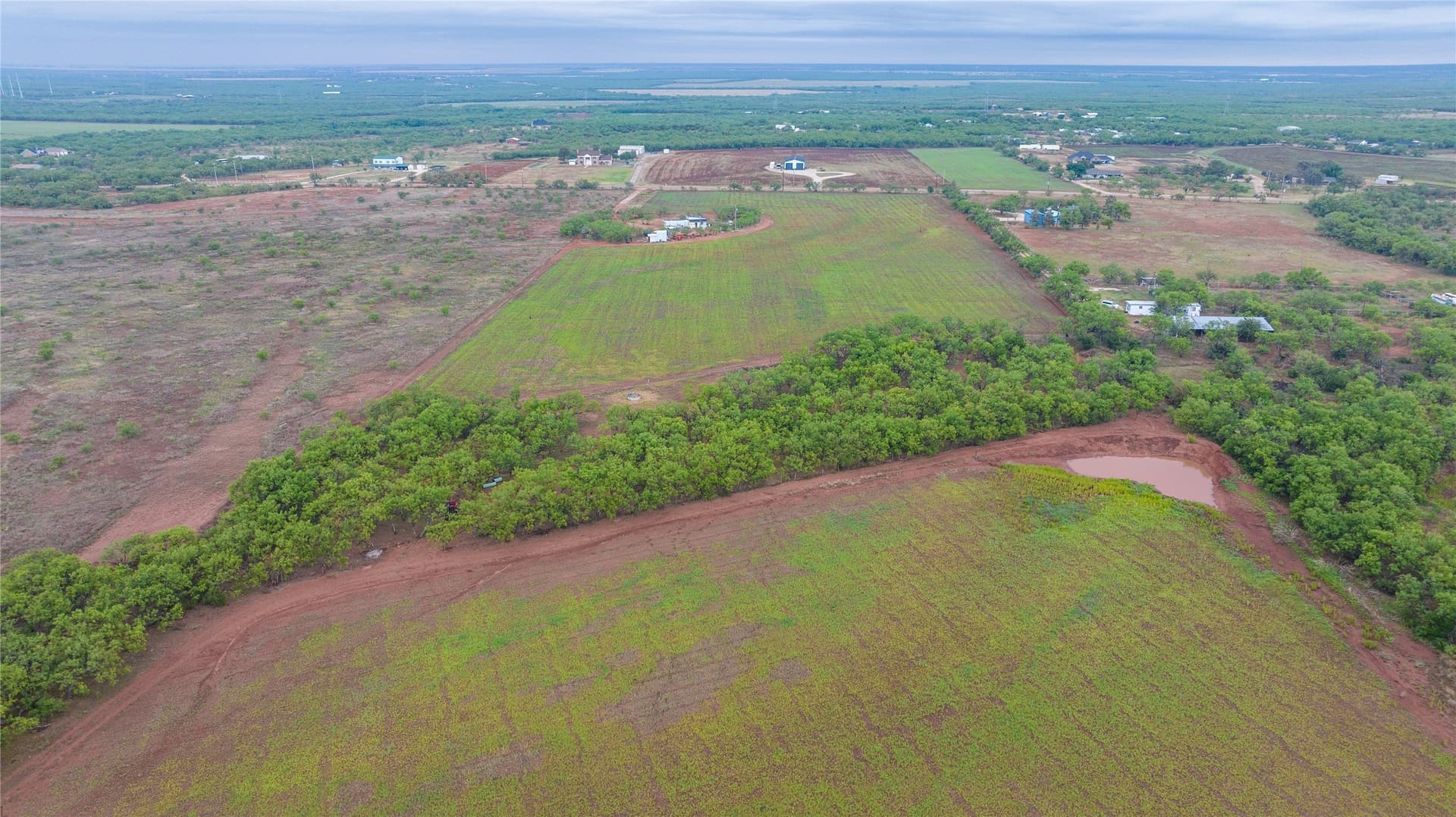 31 acres in Taylor County - photo 3