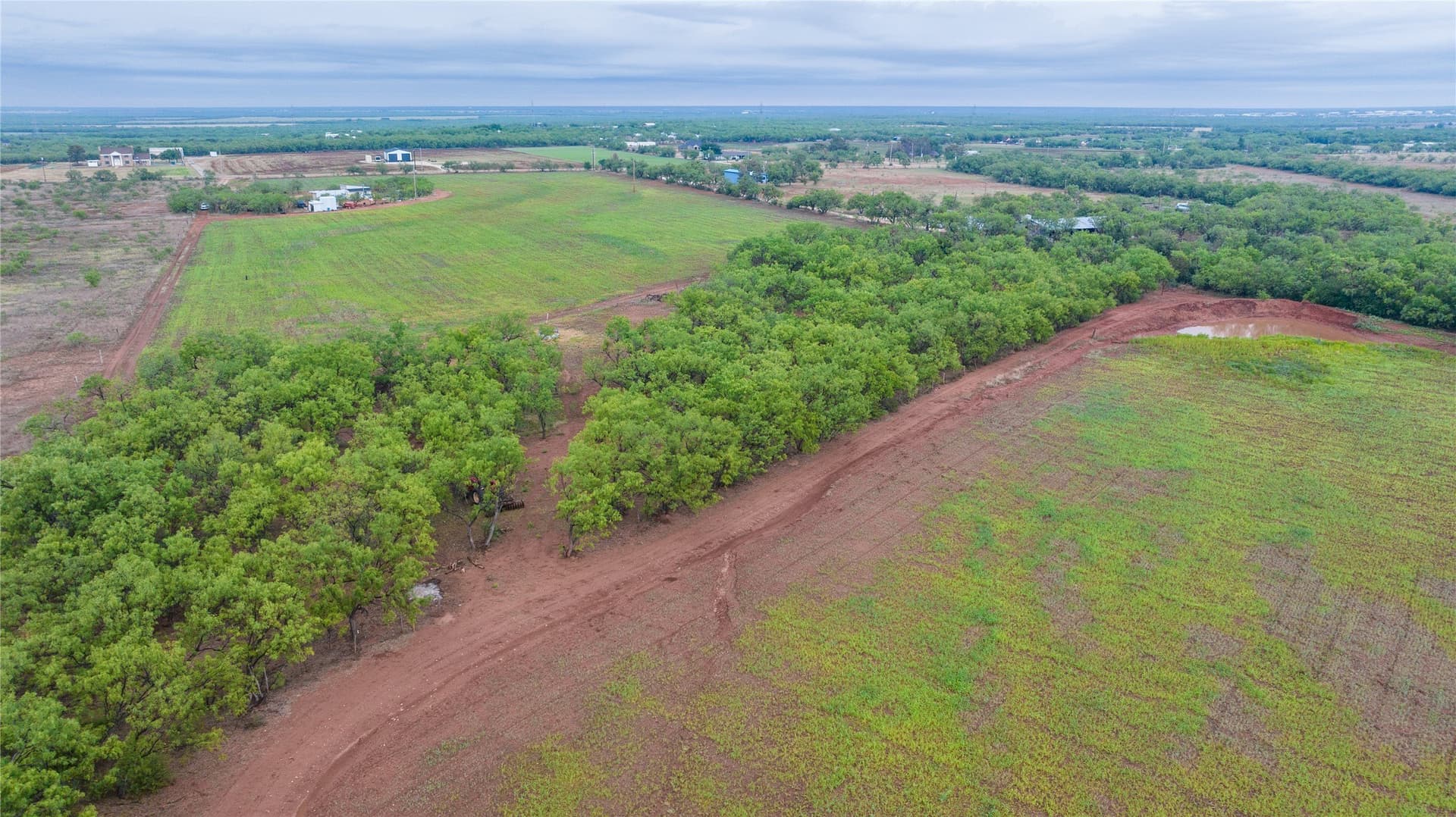 31 acres in Taylor County - photo 6