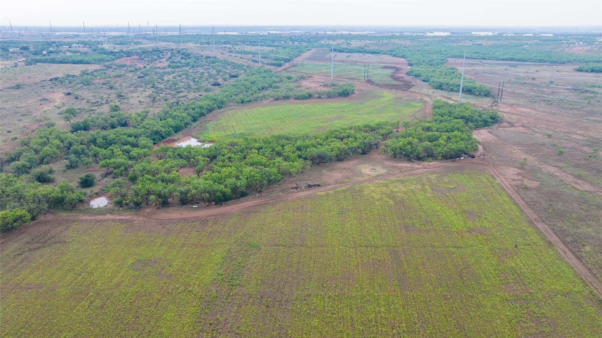 31 acres in Taylor County - photo 2