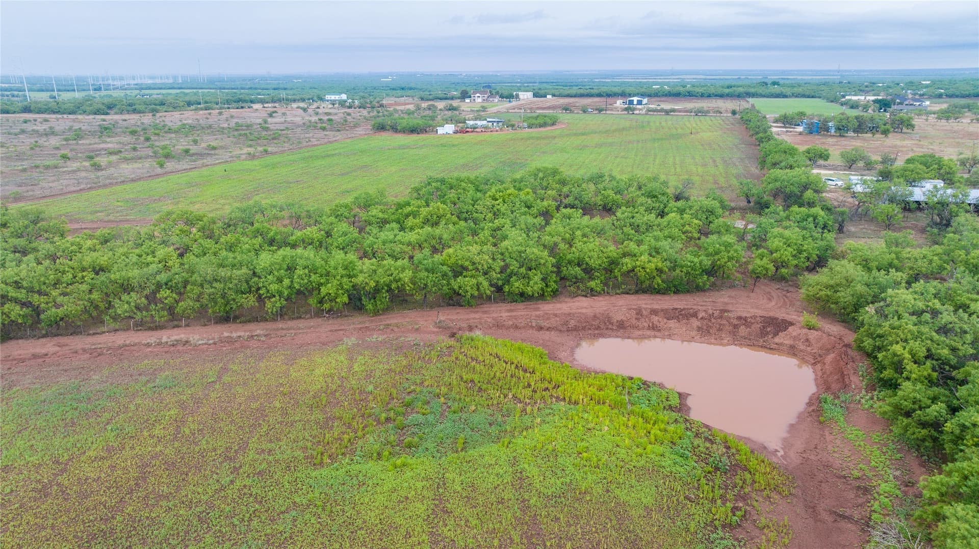 31 acres in Taylor County - photo 4