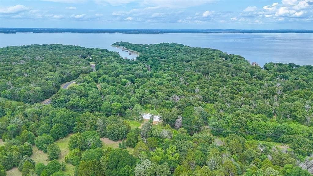 1.1 acres in Freestone County gallery image 2