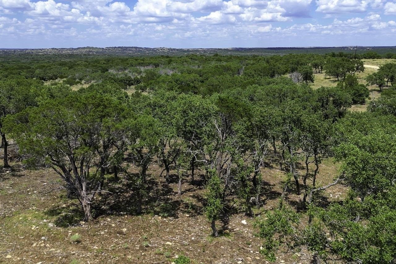 5 acres in San Saba County - photo 19