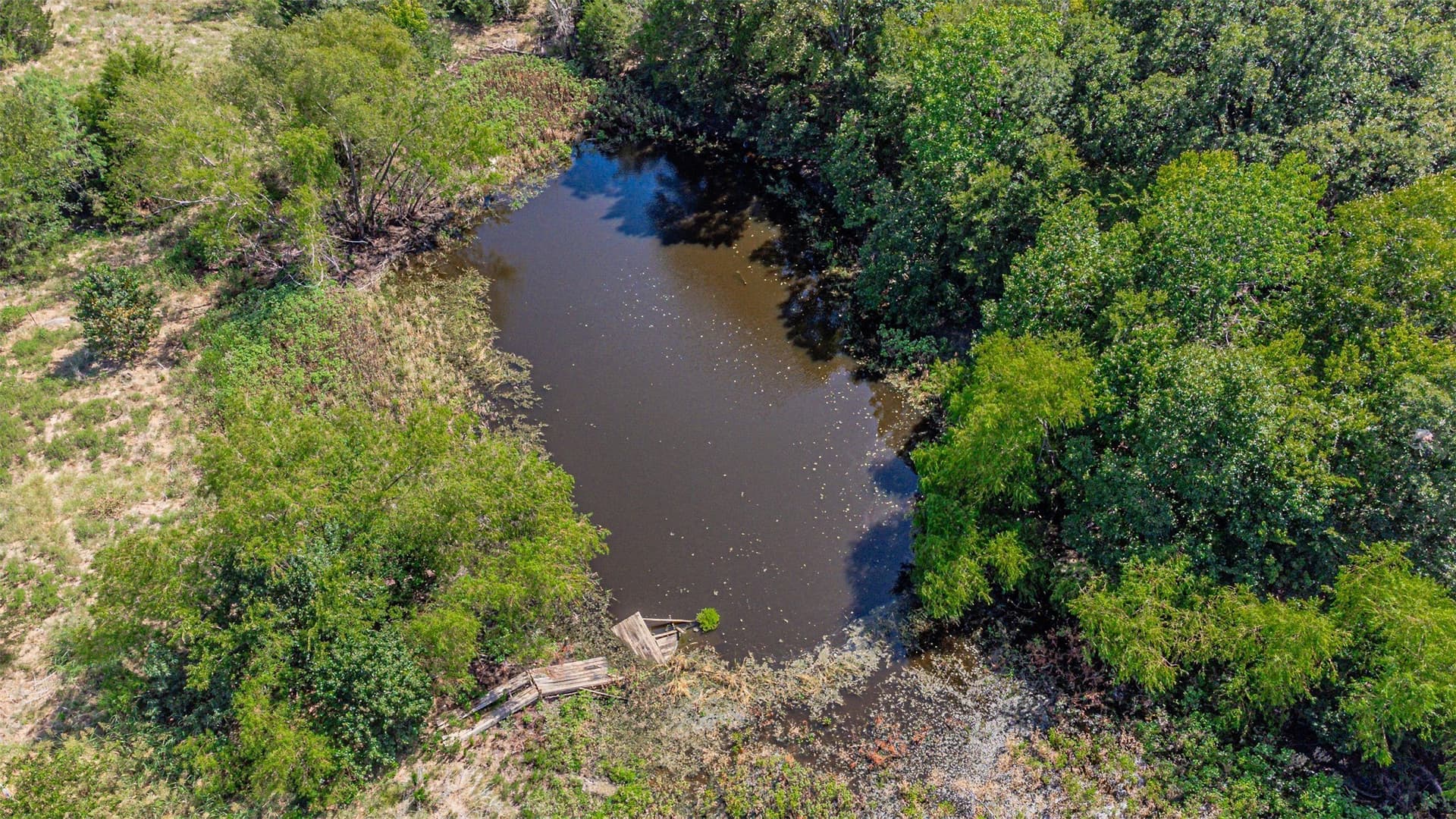30 acres in Navarro County - photo 5