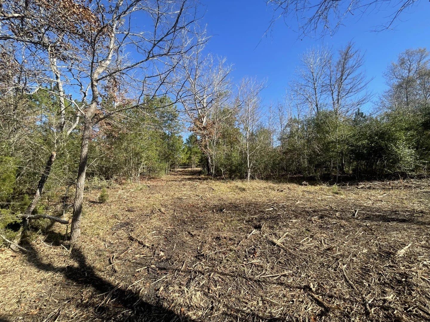 6.64 acres in Polk County - photo 22