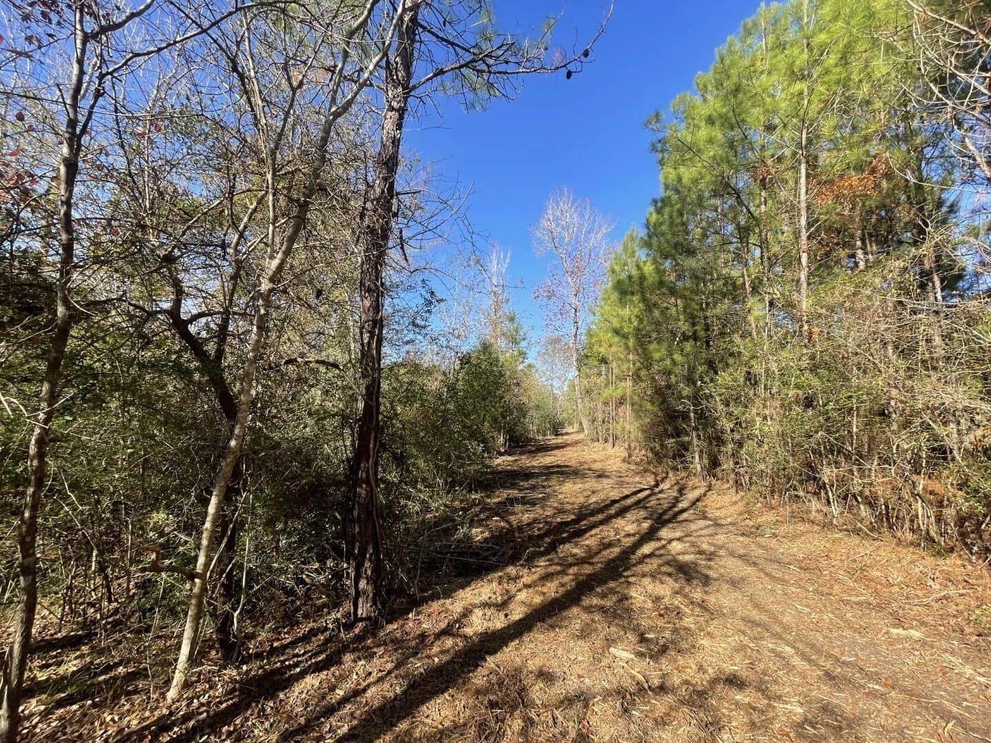 6.64 acres in Polk County - photo 18