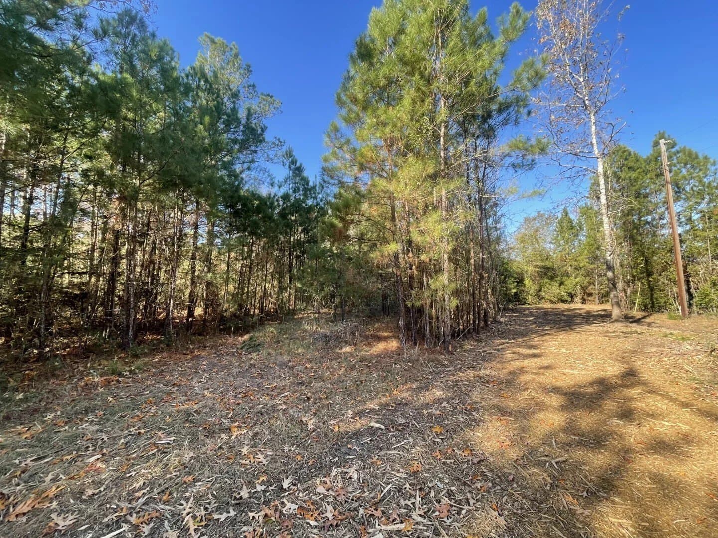 6.64 acres in Polk County - photo 30