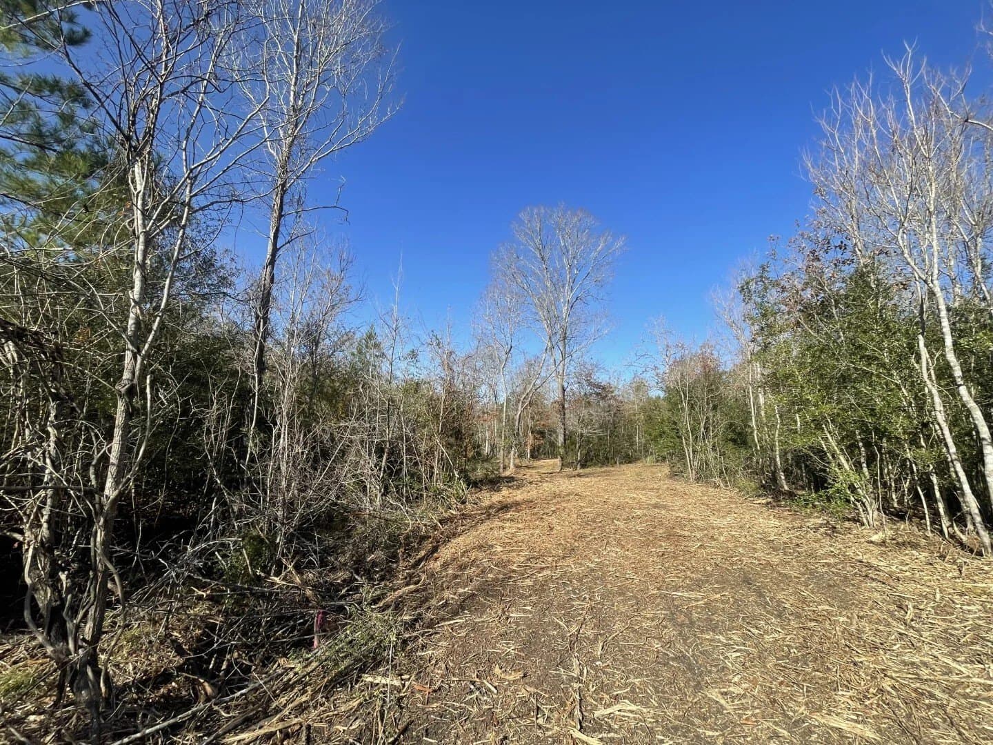 6.64 acres in Polk County - photo 24