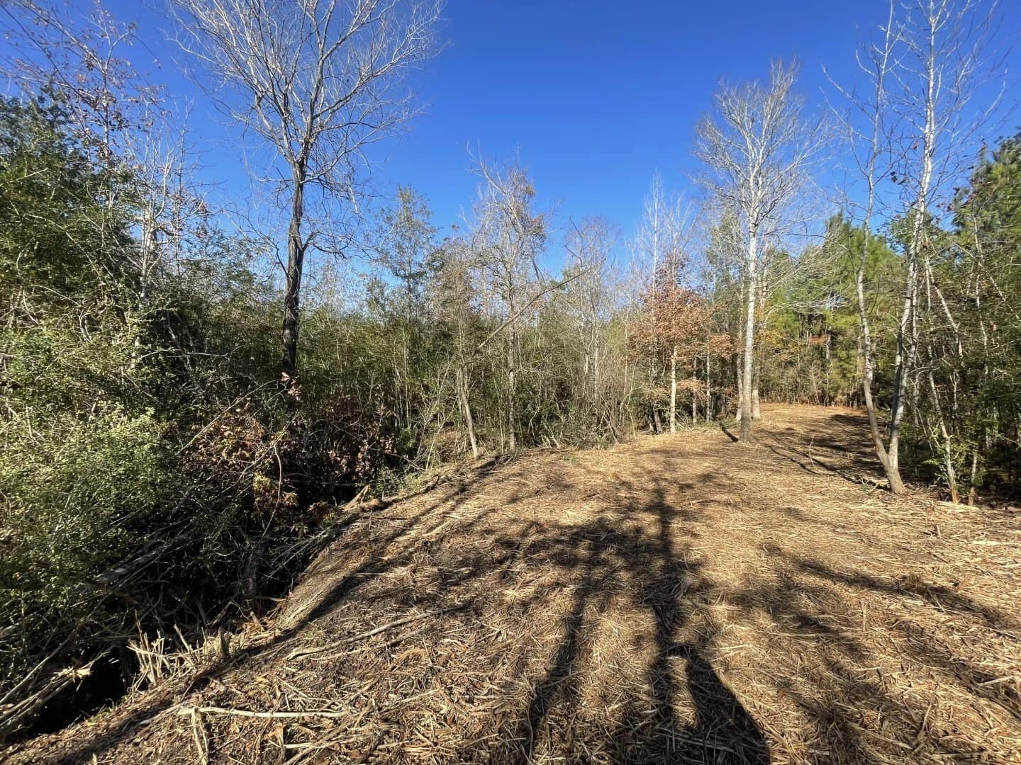 6.64 acres in Polk County - photo 20