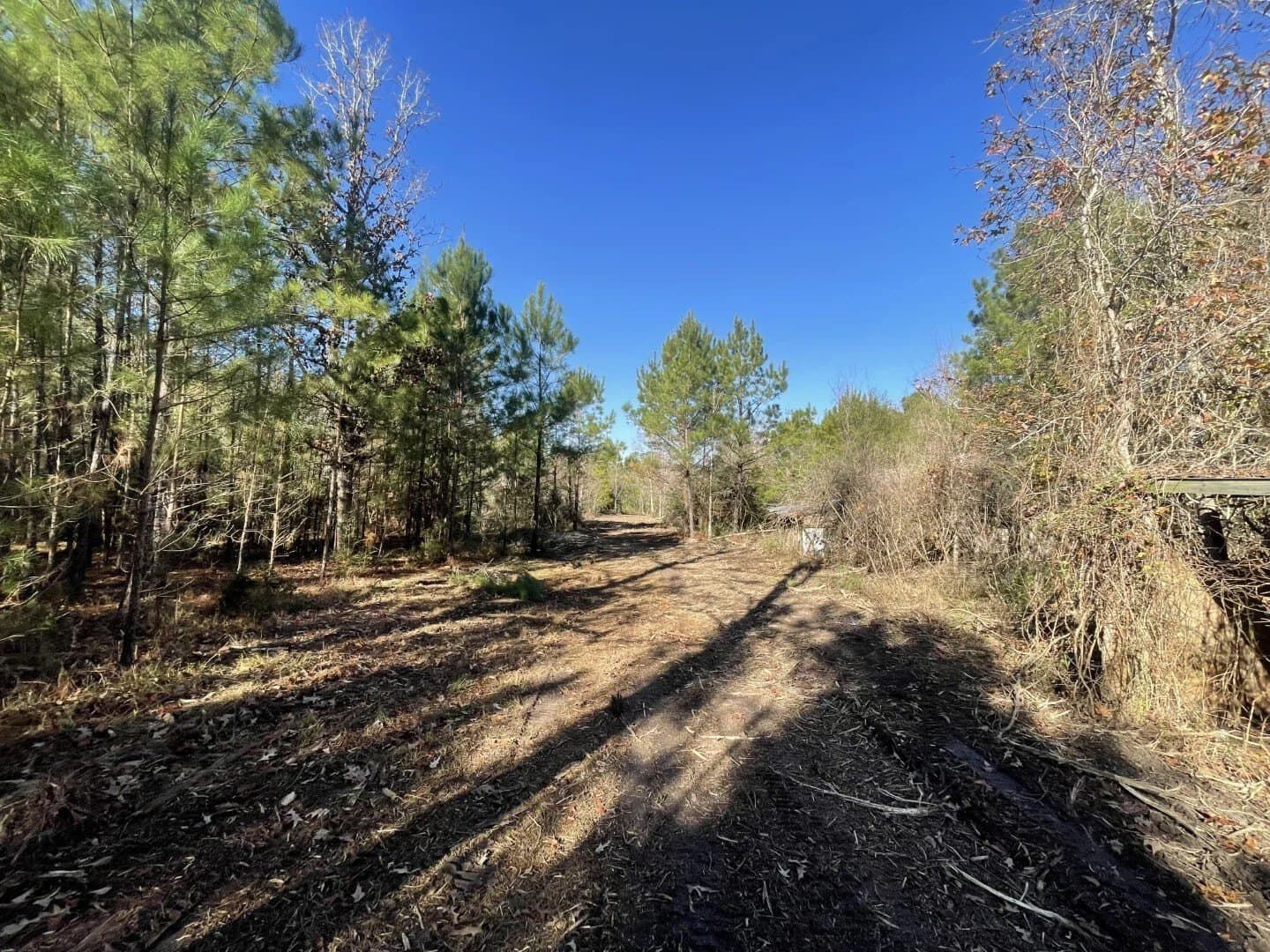 6.64 acres in Polk County - photo 28