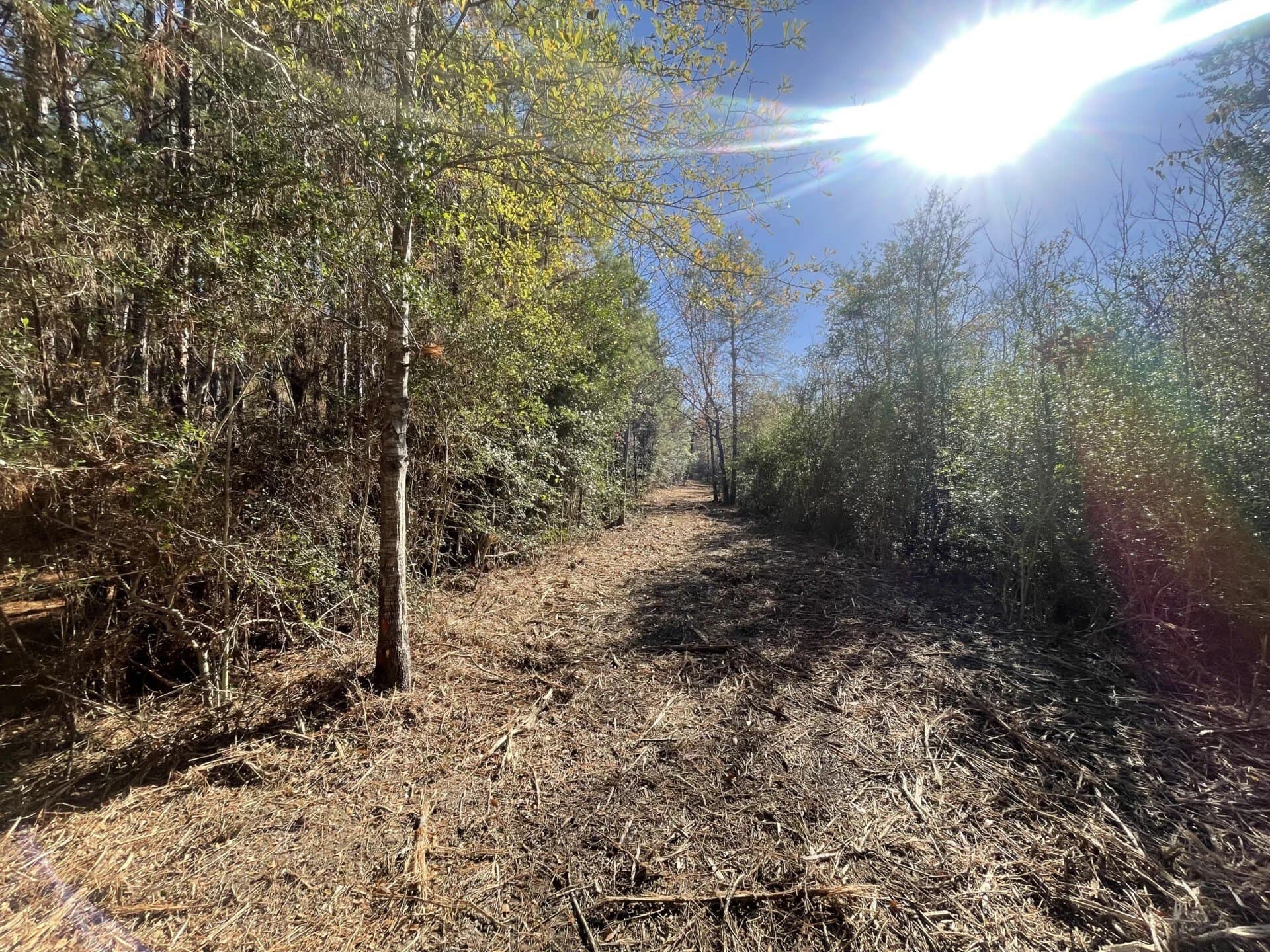 6.64 acres in Polk County - photo 15