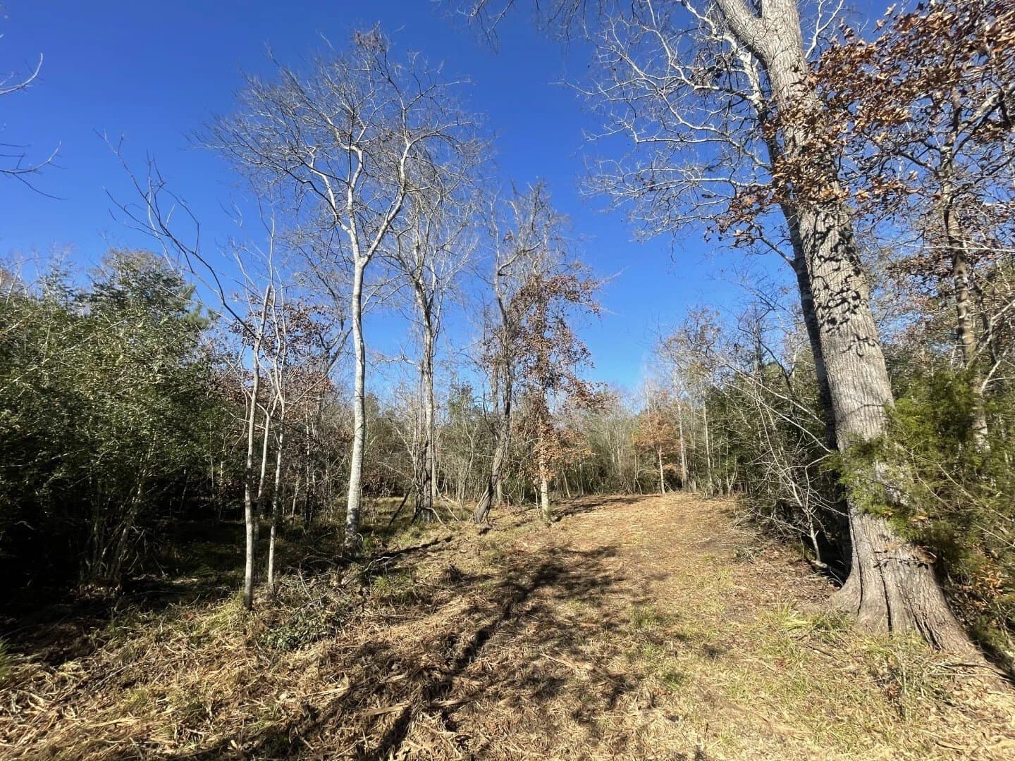 6.64 acres in Polk County - photo 21
