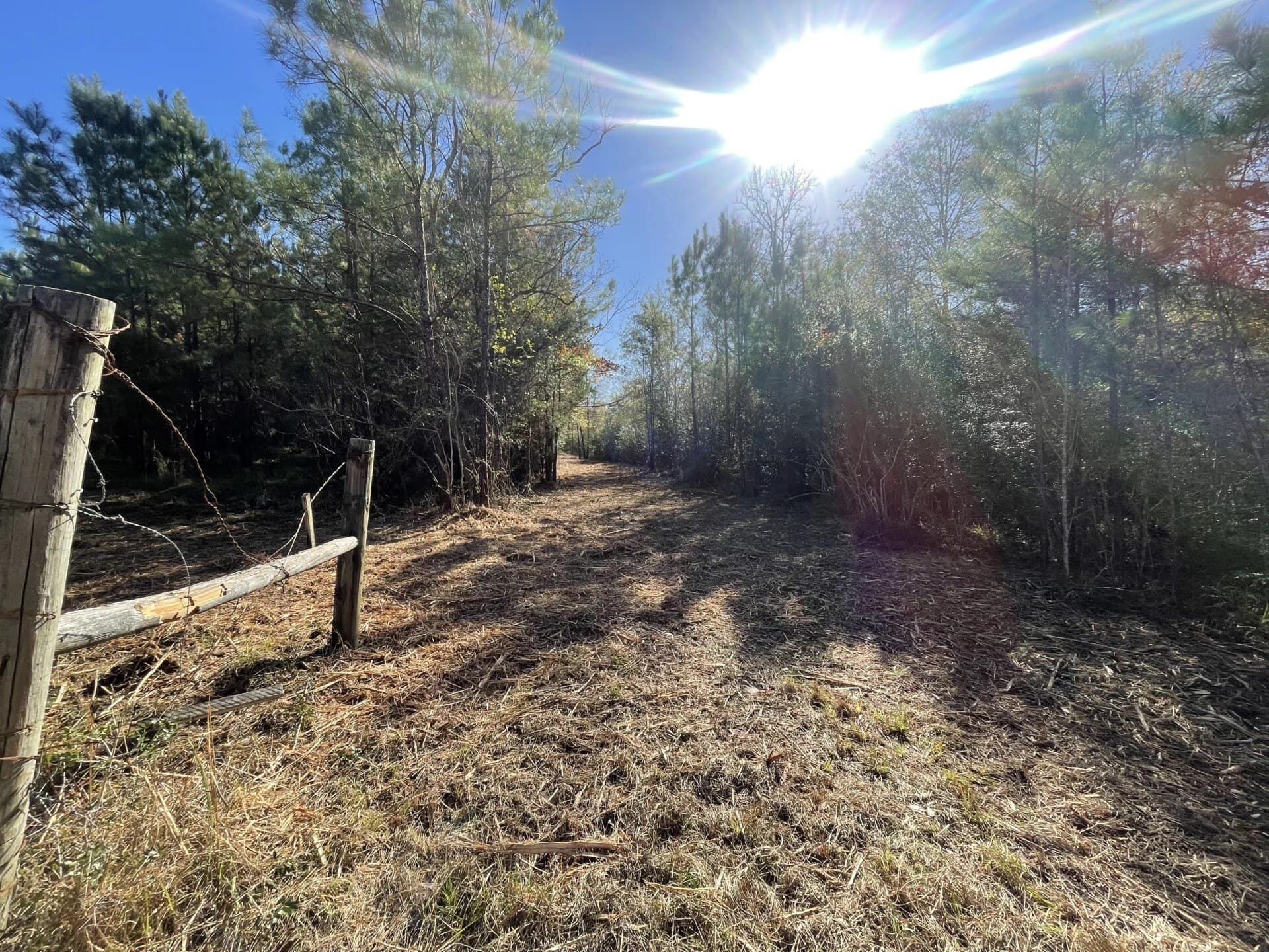 6.64 acres in Polk County - photo 14