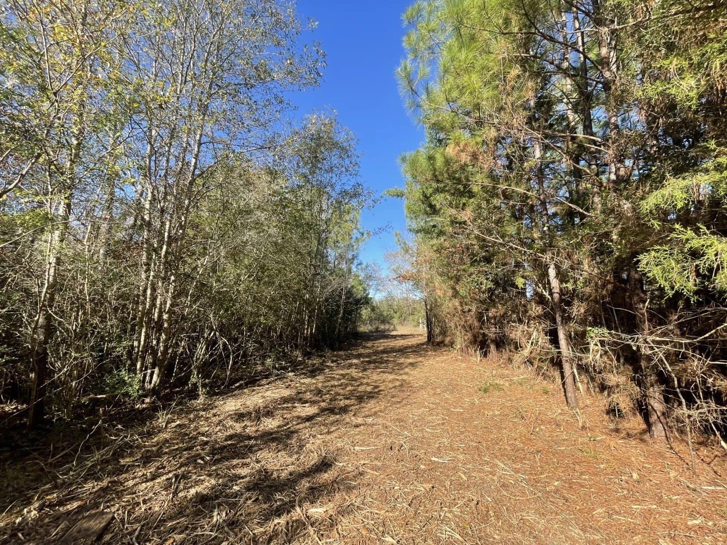 6.64 acres in Polk County - photo 19