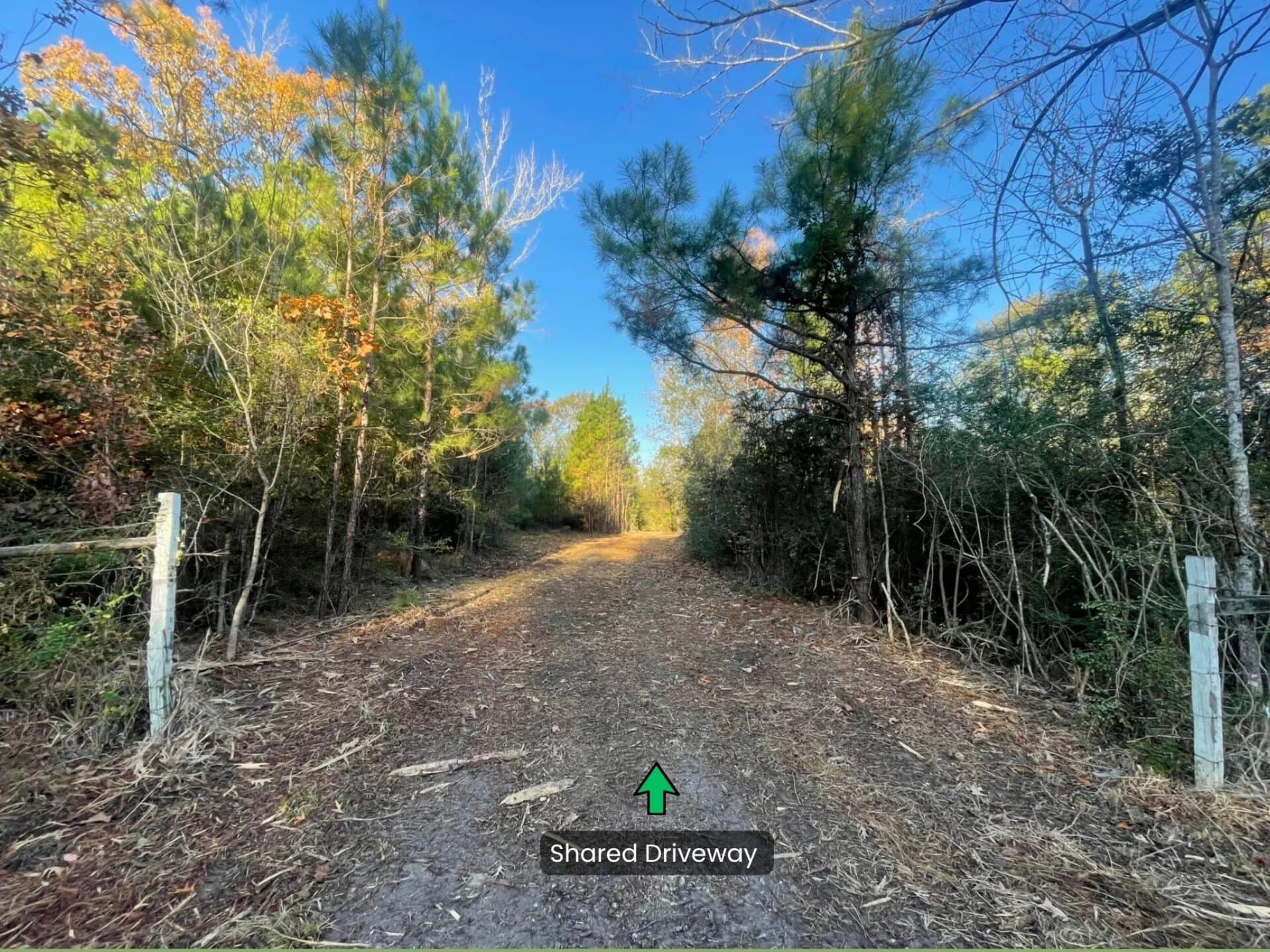 6.64 acres in Polk County - photo 4